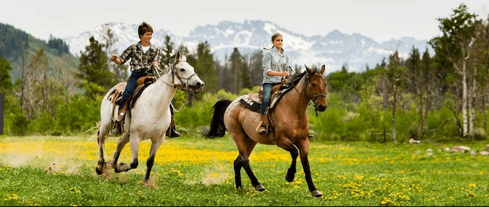 Confident plus-size woman riding Macclesfield a horse through a field with a smile on her face.